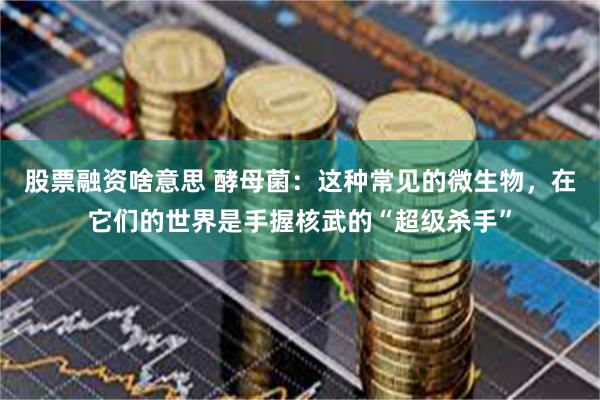 股票融资啥意思 酵母菌：这种常见的微生物，在它们的世界是手握核武的“超级杀手”
