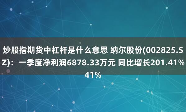 炒股指期货中杠杆是什么意思 纳尔股份(002825.SZ)：一季度净利润6878.33万元 同比增长201.41%