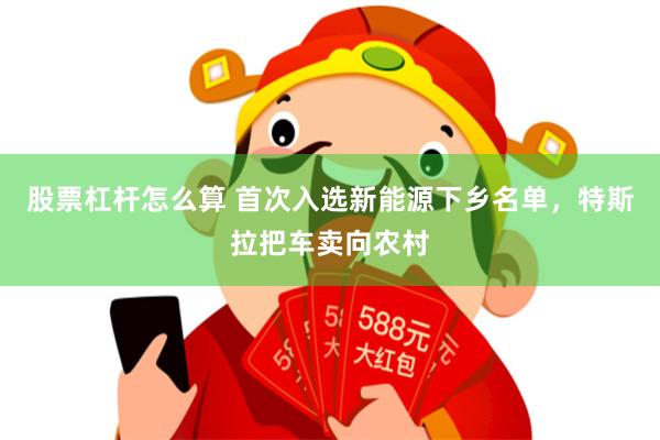 股票杠杆怎么算 首次入选新能源下乡名单，特斯拉把车卖向农村