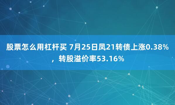 股票怎么用杠杆买 7月25日凤21转债上涨0.38%，转股溢价率53.16%
