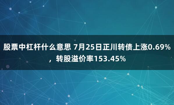 股票中杠杆什么意思 7月25日正川转债上涨0.69%，转股溢价率153.45%