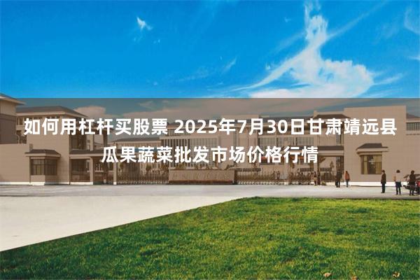 如何用杠杆买股票 2025年7月30日甘肃靖远县瓜果蔬菜批发市场价格行情