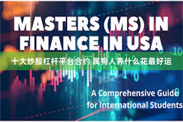 十大炒股杠杆平台合约 属狗人养什么花最好运