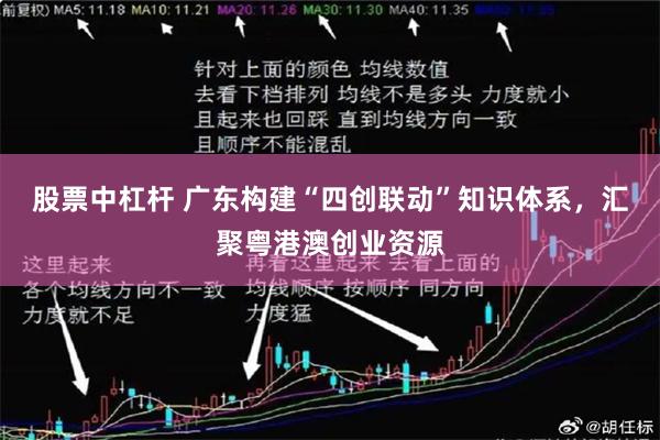 股票中杠杆 广东构建“四创联动”知识体系,汇聚粤港澳创业资源