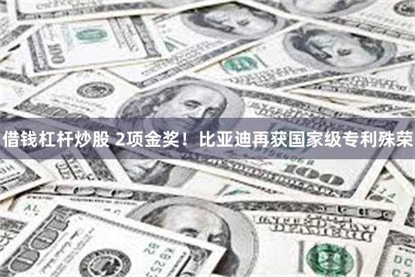 借钱杠杆炒股 2项金奖！比亚迪再获国家级专利殊荣