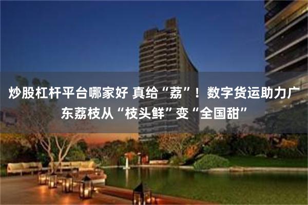 炒股杠杆平台哪家好 真给“荔”！数字货运助力广东荔枝从“枝头鲜”变“全国甜”