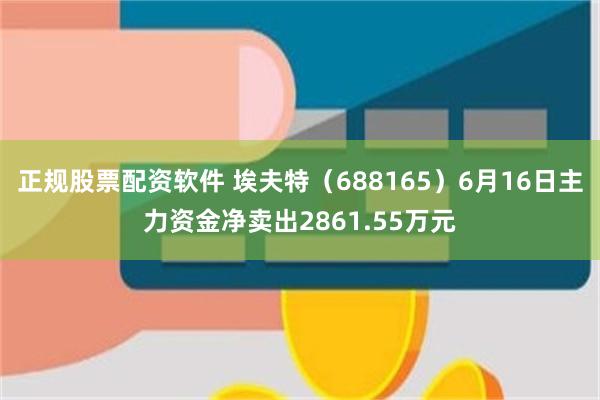 正规股票配资软件 埃夫特（688165）6月16日主力资金净卖出2861.55万元
