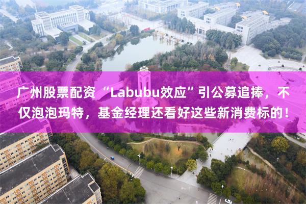 广州股票配资 “Labubu效应”引公募追捧,不仅泡泡玛特,基金经理还看好这些新消费标的!