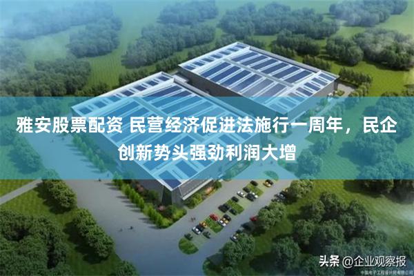 雅安股票配资 民营经济促进法施行一周年，民企创新势头强劲利润大增