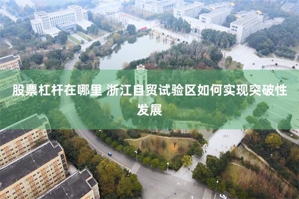 股票杠杆在哪里 浙江自贸试验区如何实现突破性发展