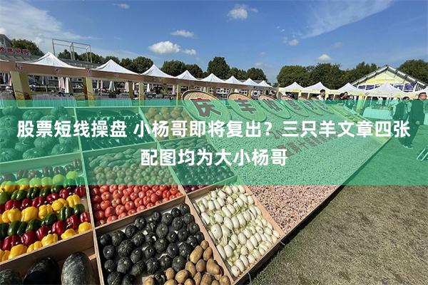 股票短线操盘 小杨哥即将复出？三只羊文章四张配图均为大小杨哥