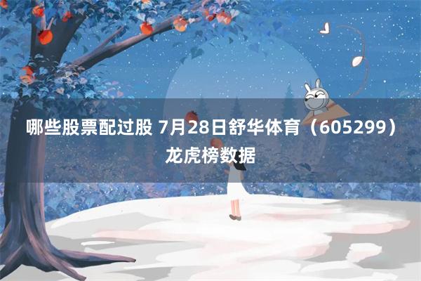 哪些股票配过股 7月28日舒华体育（605299）龙虎榜数据