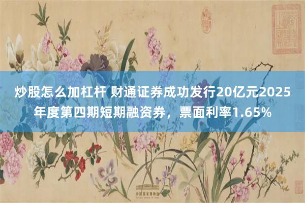 炒股怎么加杠杆 财通证券成功发行20亿元2025年度第四期短期融资券，票面利率1.65%