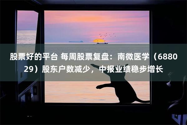 股票好的平台 每周股票复盘：南微医学（688029）股东户数减少，中报业绩稳步增长