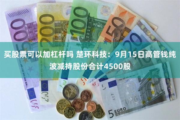买股票可以加杠杆吗 楚环科技：9月15日高管钱纯波减持股份合计4500股