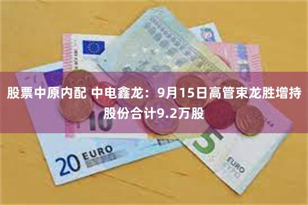 股票中原内配 中电鑫龙：9月15日高管束龙胜增持股份合计9.2万股
