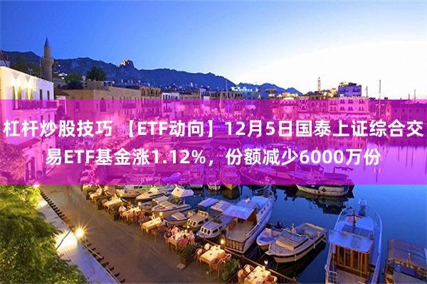 杠杆炒股技巧 【ETF动向】12月5日国泰上证综合交易ETF基金涨1.12%，份额减少6000万份