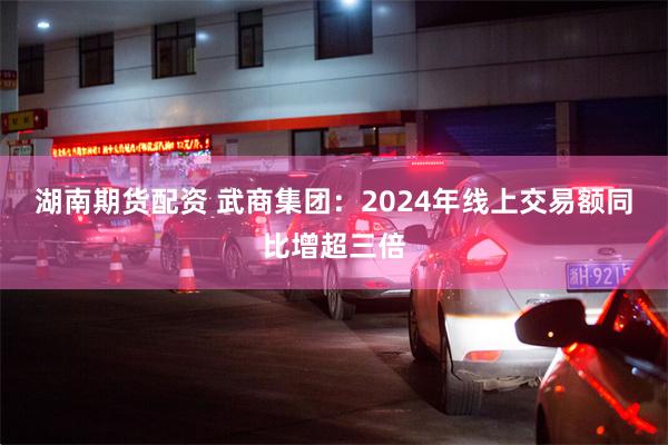 湖南期货配资 武商集团:2024年线上交易额同比增超三倍
