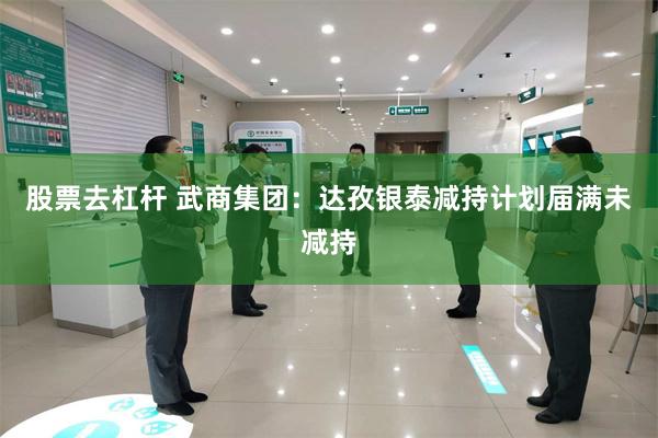 股票去杠杆 武商集团：达孜银泰减持计划届满未减持