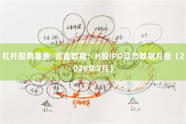 杠杆股票基金  览富数据：H股IPO动态数据月报（2026年2月）