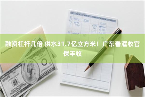融资杠杆几倍 供水31.7亿立方米！广东春灌收官保丰收