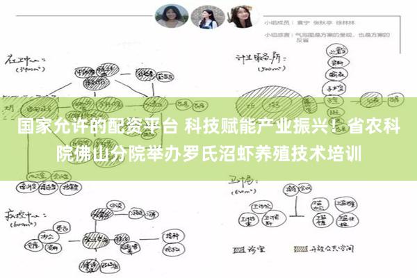 国家允许的配资平台 科技赋能产业振兴！省农科院佛山分院举办罗氏沼虾养殖技术培训