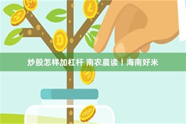 炒股怎样加杠杆 南农晨读丨海南好米