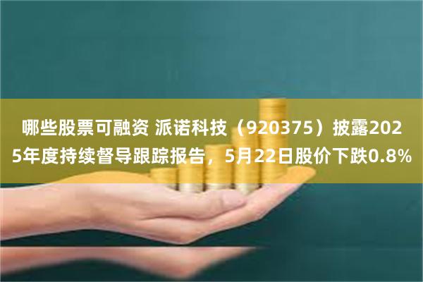 哪些股票可融资 派诺科技（920375）披露2025年度持续督导跟踪报告，5月22日股价下跌0.8%
