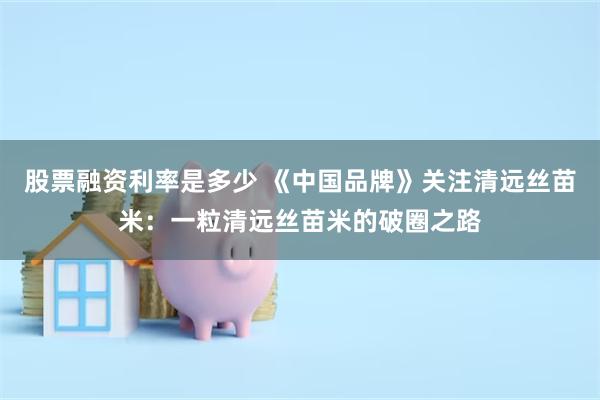 股票融资利率是多少 《中国品牌》关注清远丝苗米：一粒清远丝苗米的破圈之路
