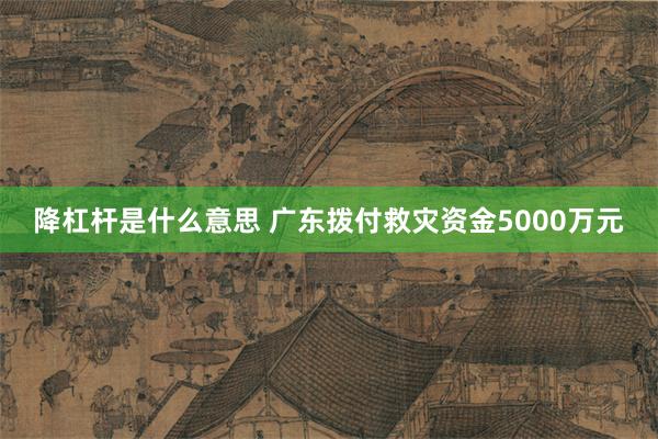 降杠杆是什么意思 广东拨付救灾资金5000万元