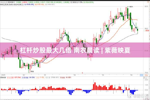 杠杆炒股最大几倍 南农晨读 | 紫薇映夏