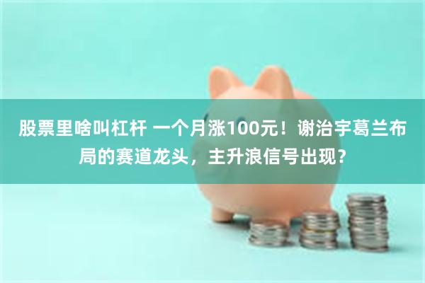 股票里啥叫杠杆 一个月涨100元!谢治宇葛兰布局的赛道龙头,主升浪信号出现?