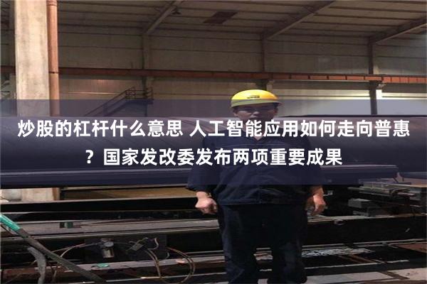 炒股的杠杆什么意思 人工智能应用如何走向普惠?国家发改委发布两项重要成果