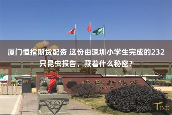 厦门恒指期货配资 这份由深圳小学生完成的232只昆虫报告,藏着什么秘密?
