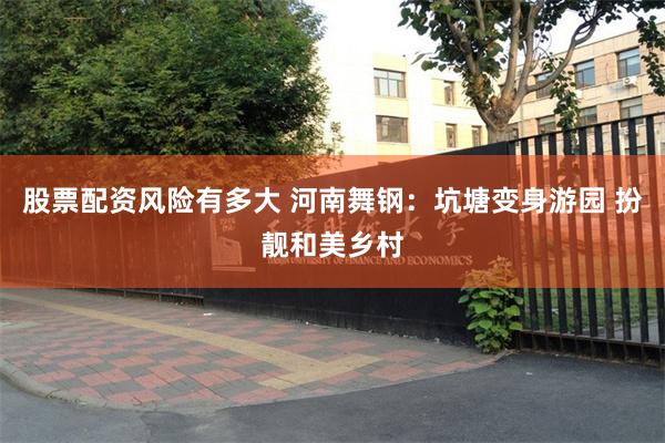 股票配资风险有多大 河南舞钢:坑塘变身游园 扮靓和美乡村
