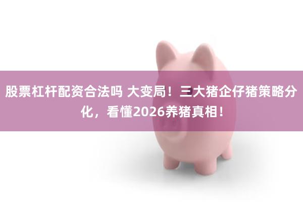 股票杠杆配资合法吗 大变局!三大猪企仔猪策略分化,看懂2026养猪真相!