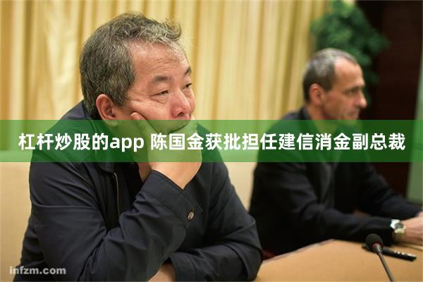 杠杆炒股的app 陈国金获批担任建信消金副总裁