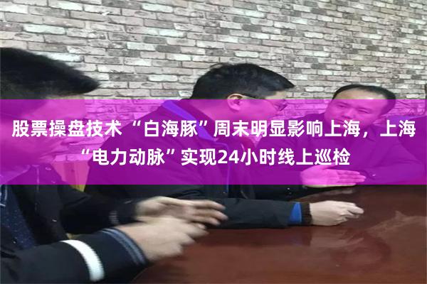 股票操盘技术 “白海豚”周末明显影响上海,上海“电力动脉”实现24小时线上巡检