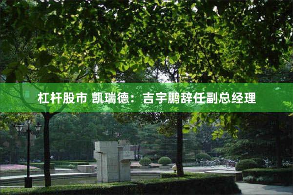 杠杆股市 凯瑞德：吉宇鹏辞任副总经理