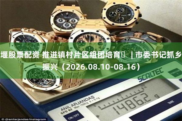 姜堰股票配资 推进镇村片区组团培育 | 市委书记抓乡村振兴(2026.08.10-08.16)