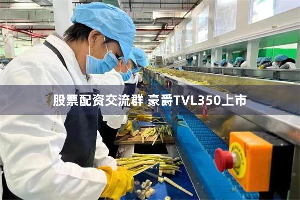 股票配资交流群 豪爵TVL350上市