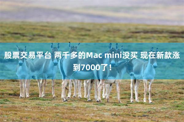 股票交易平台 两千多的Mac mini没买 现在新款涨到7000了！