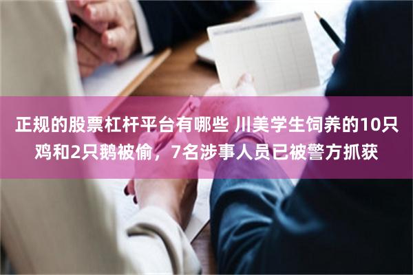 正规的股票杠杆平台有哪些 川美学生饲养的10只鸡和2只鹅被偷，7名涉事人员已被警方抓获