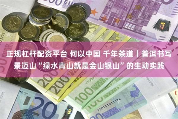 正规杠杆配资平台 何以中国 千年茶道丨普洱书写景迈山“绿水青山就是金山银山”的生动实践