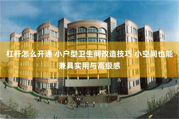 杠杆怎么开通 小户型卫生间改造技巧 小空间也能兼具实用与高级感