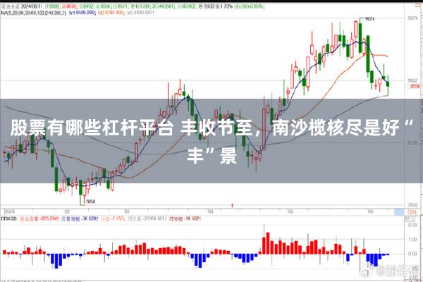 股票有哪些杠杆平台 丰收节至，南沙榄核尽是好“丰”景