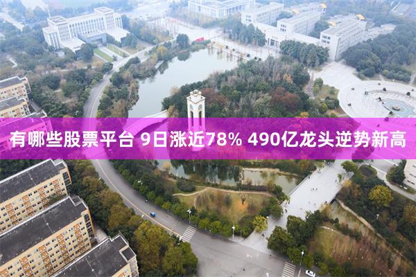 有哪些股票平台 9日涨近78% 490亿龙头逆势新高