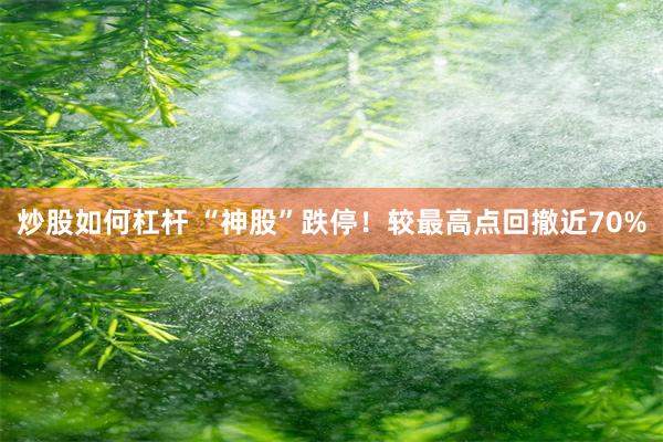 炒股如何杠杆 “神股”跌停！较最高点回撤近70%