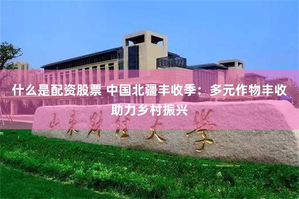 什么是配资股票 中国北疆丰收季：多元作物丰收助力乡村振兴