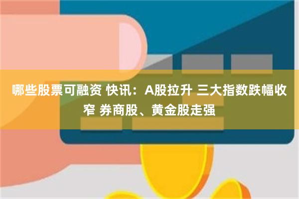 哪些股票可融资 快讯：A股拉升 三大指数跌幅收窄 券商股、黄金股走强